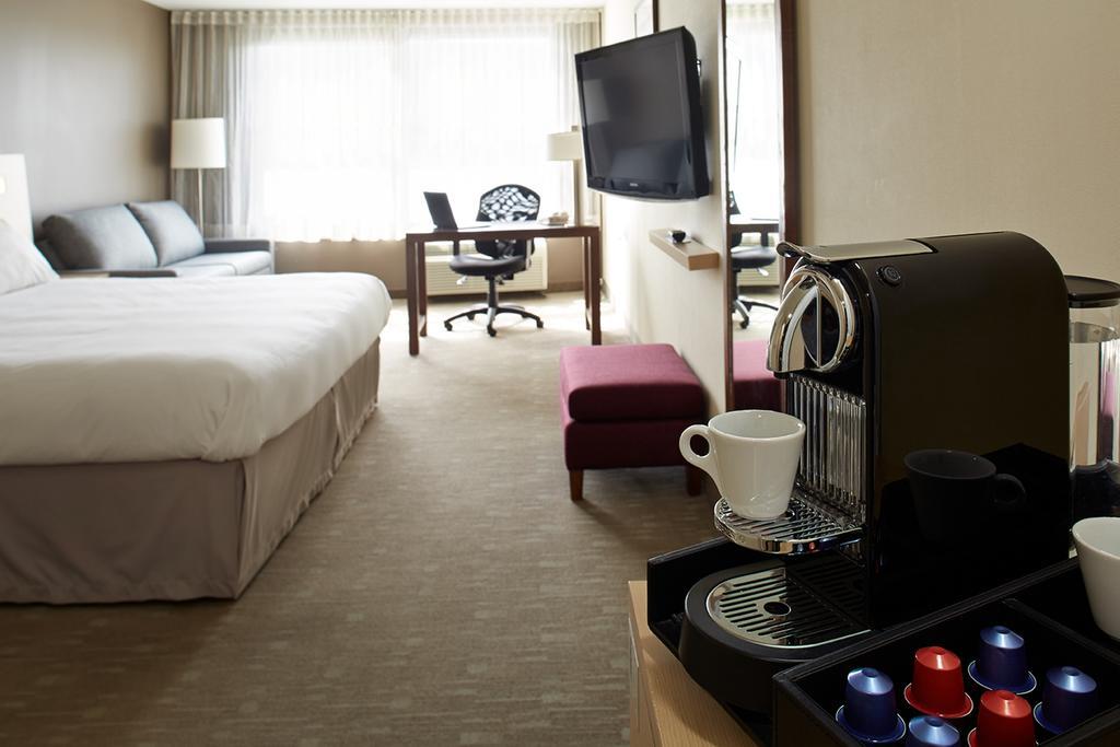 Executive King Room Sofa Bed,687781002:JPEG