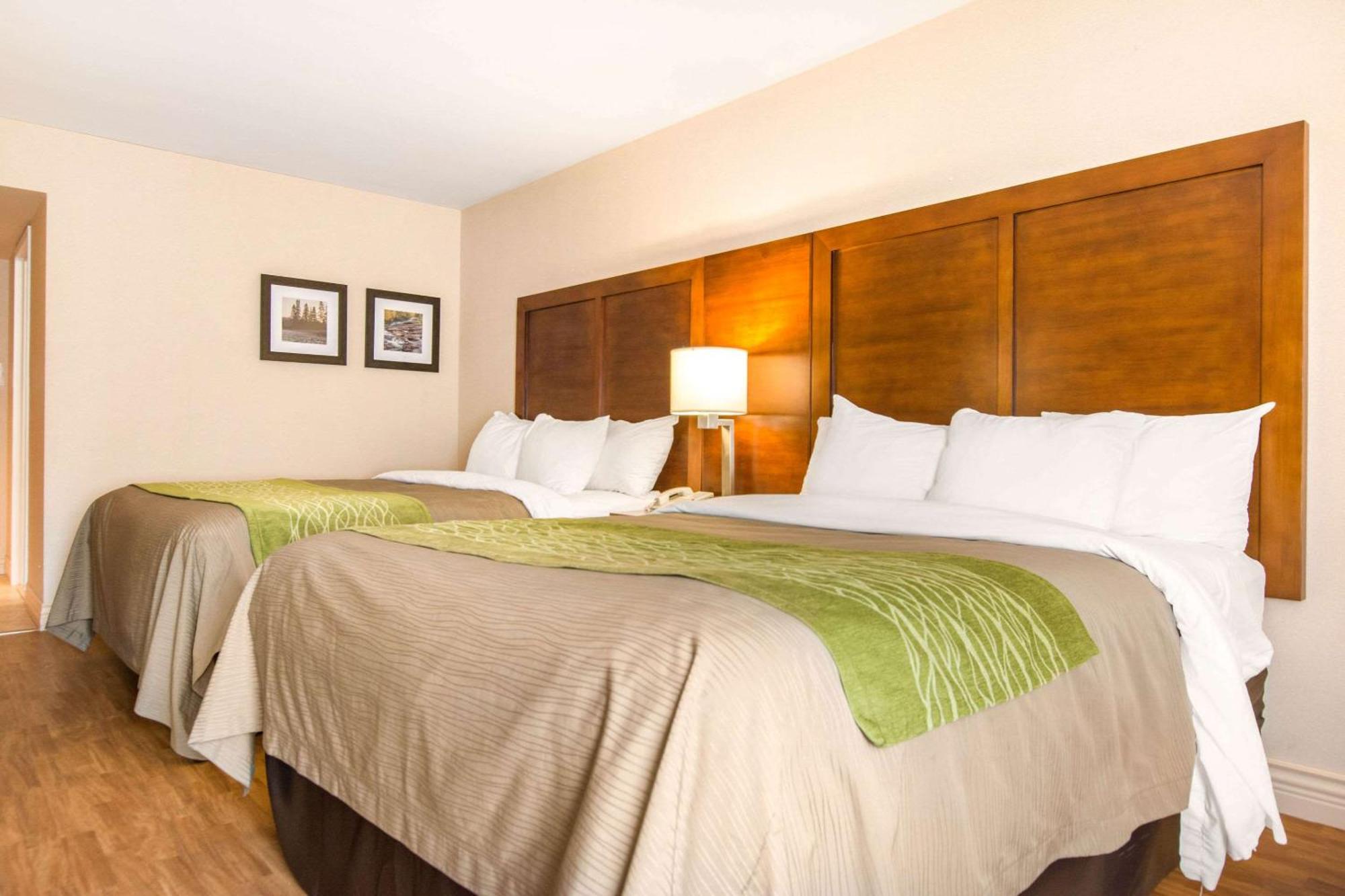 Chambre 2 Lits Queen-Size - Non-Fumeurs