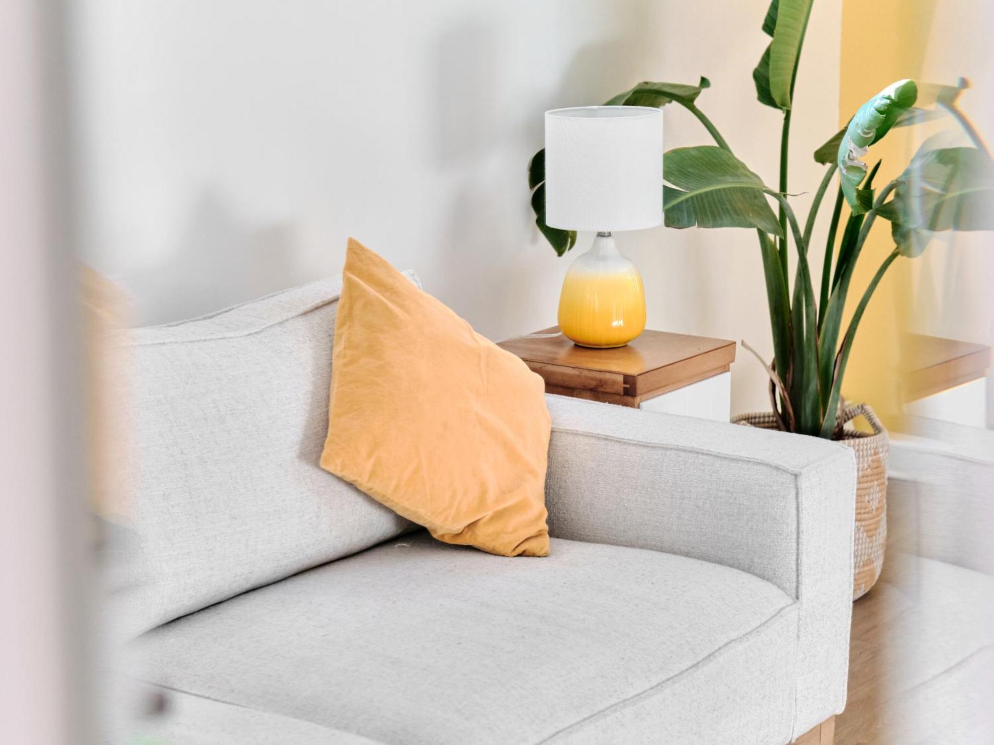 Appartement 1 Chambre