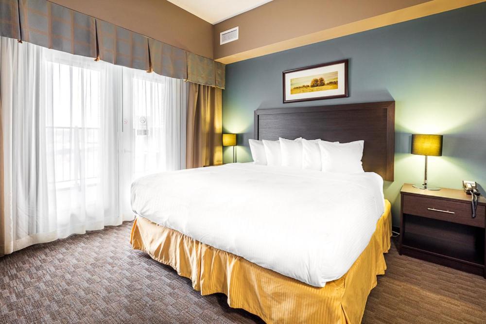 Efficiency King Suite with Sofa Bed - Non Smoking,1531613560:JPEG