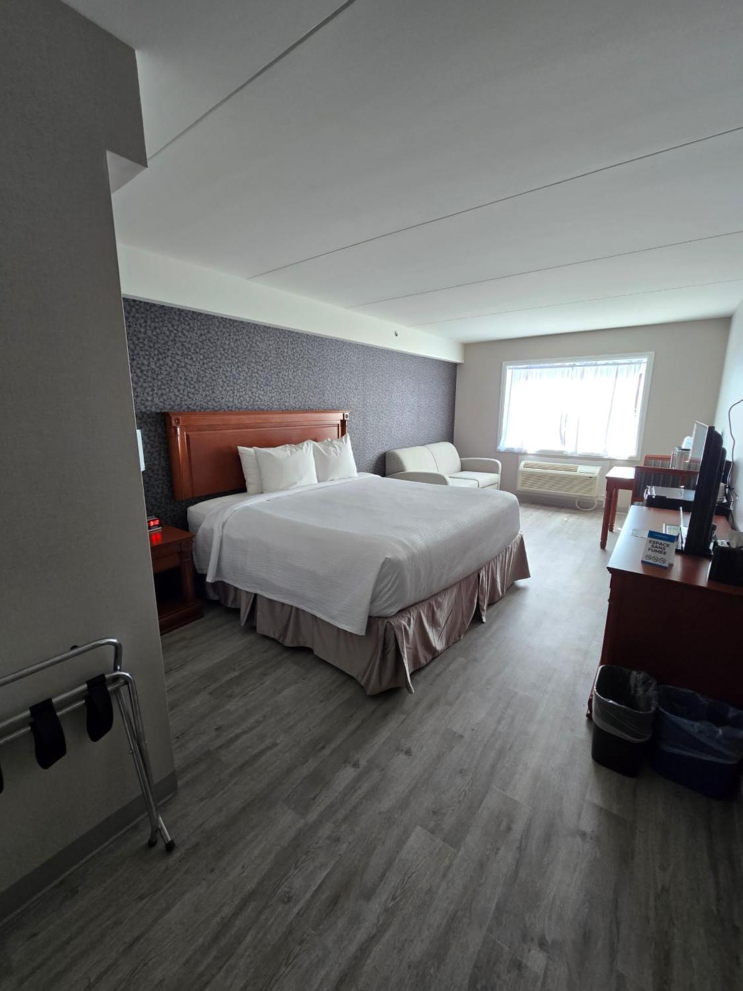Deluxe King Room Sofa Bed Non-Smoking