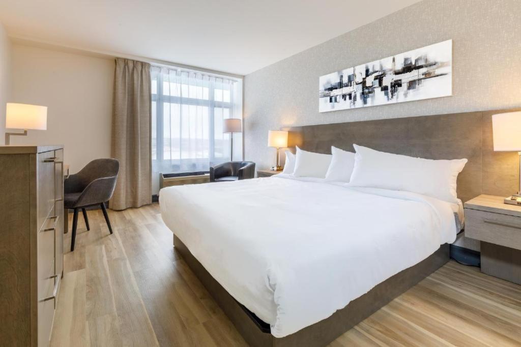 Suite Executive