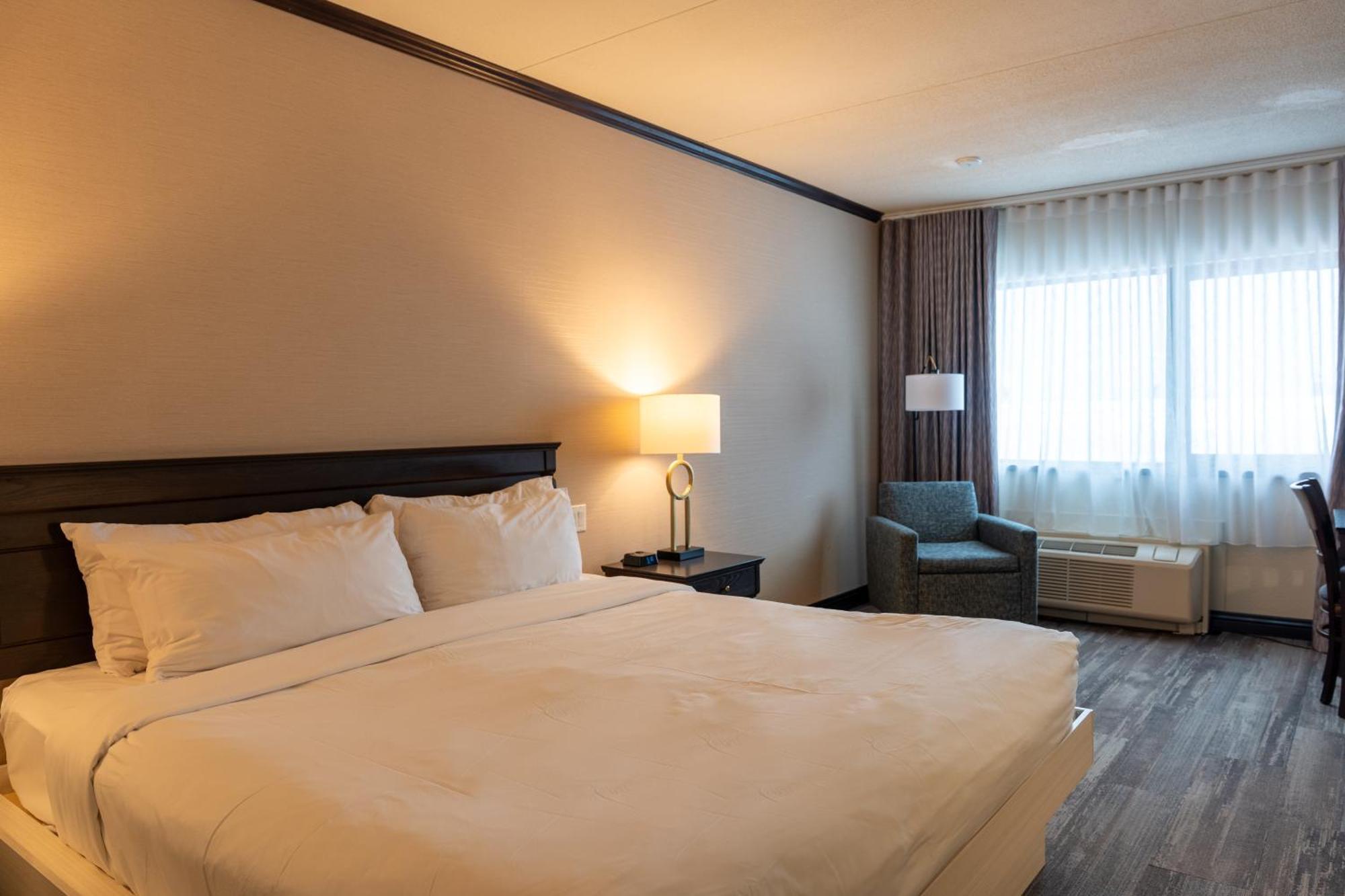 Spacious Queen Room