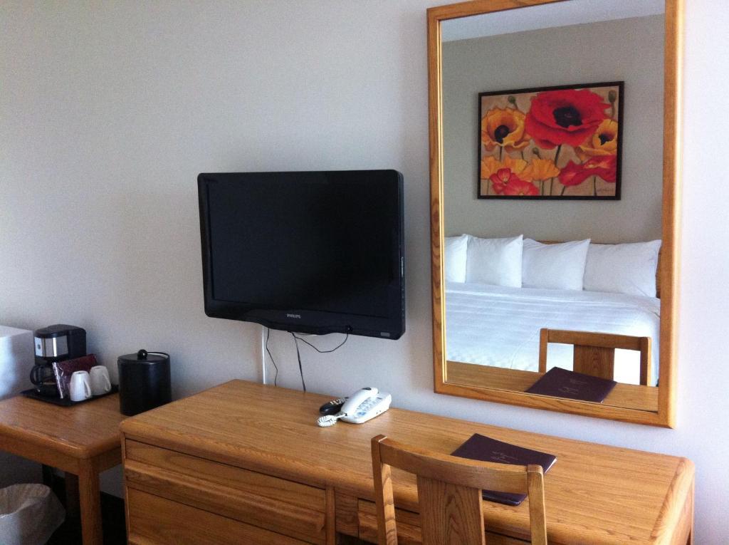Premier King Room with Sofa Bed,61103137:JPEG