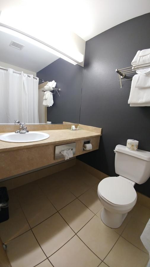 Quarto com 1 Cama King-size - Não Fumantes