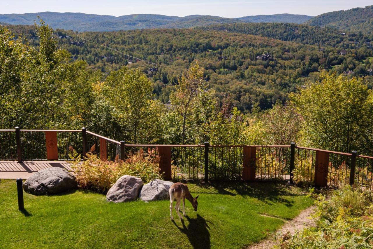 Equinoxe 172-5,926444173:JPEG