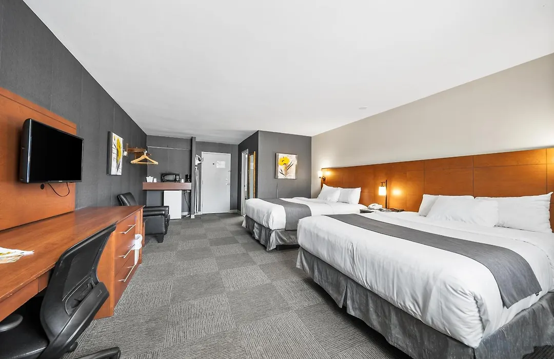 Hotel-Motel Coconut-1