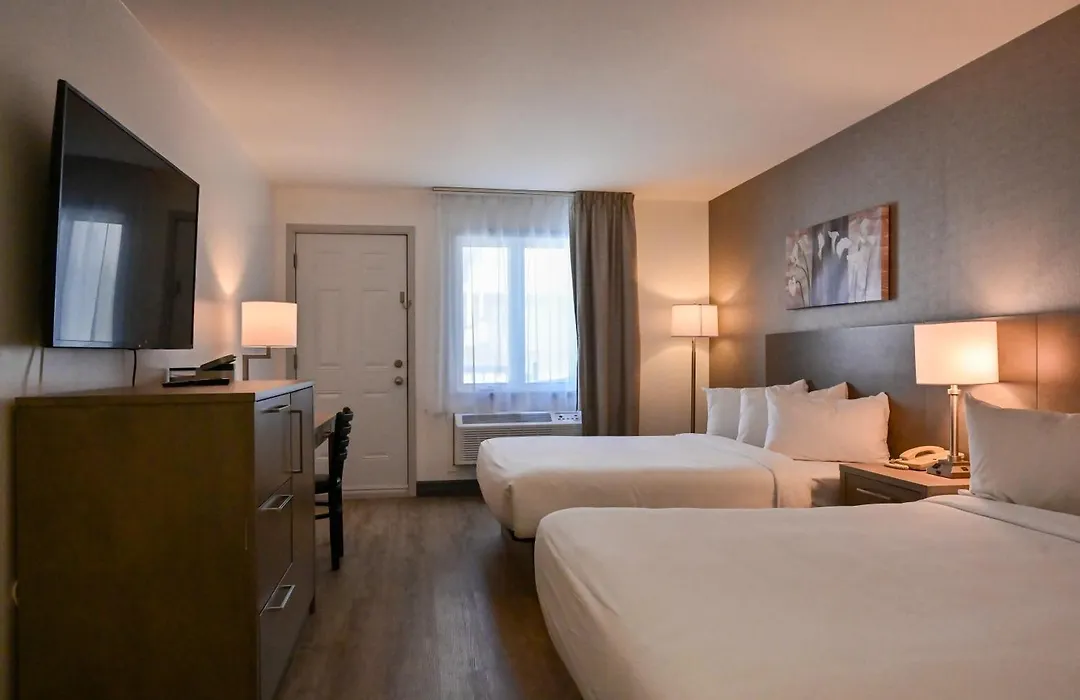 Repotel Levis-1