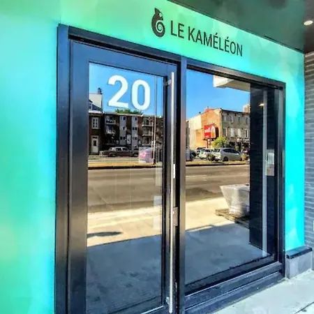 Le Kameleon 318 : Interieur Parking, Rooftop Terrace, Gym-3
