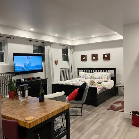Awesome Studio Bachelor, 15 Min To Dt Mtl-3