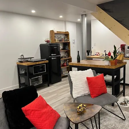 Awesome Studio Bachelor, 15 Min To Dt Mtl-2