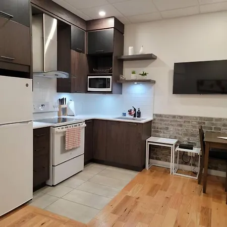 Appartement Loft 102 Au Coeur De Rimouski Pres Du St-Laurent-2
