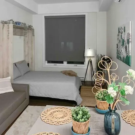 Cheerful-Romantic Studio Apartment In Montreal!-2