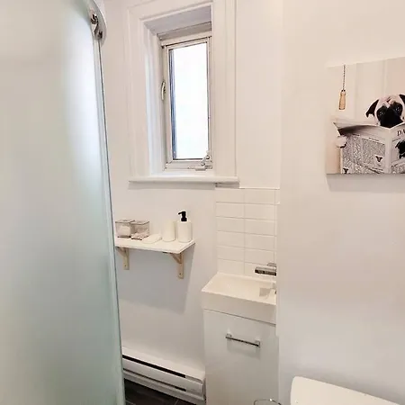 Cozy Wood Cottage In Montreal'S Downdown Core-2