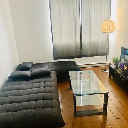 1 Bedroom Apartment In Downtown Montreal-2