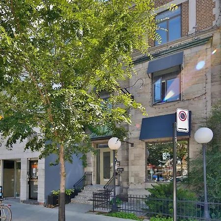 Stunning Full Apartments - Stocked Kitchens - Washer & Dryers - Workspace Provided - Fast Wifi - Located On The Famous St Denis Street - Near Metro Mont Royal-2