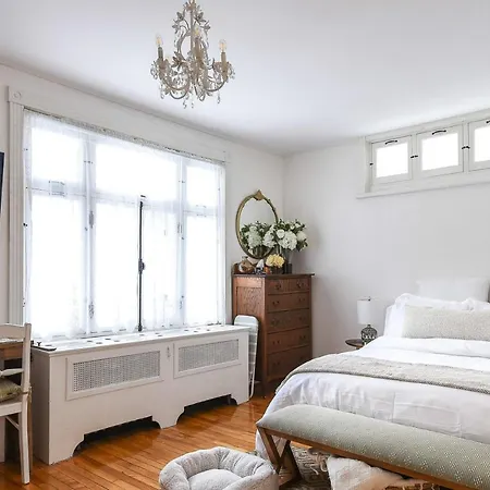 Bright And Beautiful Studio In Old Quebec City-3