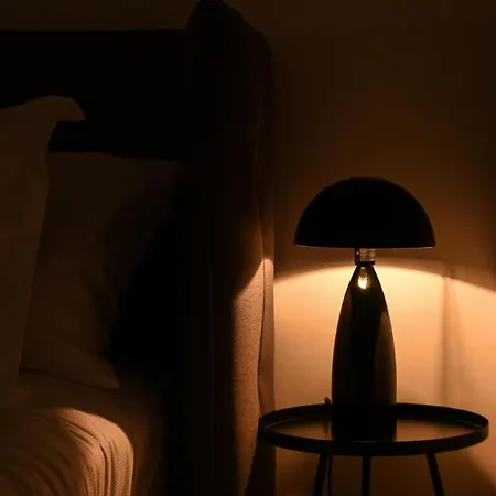 Newly Renovated Modern 1Bed Condo In Old Quebec-2