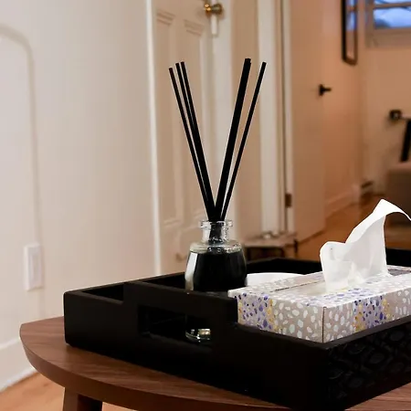 Newly Renovated Modern 1Bed Condo In Old Quebec-3