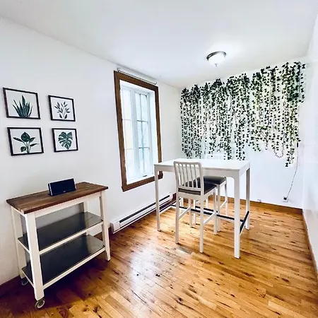 Cozy Apartment With Terrace - Le Plateau Montroyal-2