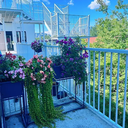 1 Min To Metro, New Condo, Lovely Cozy Studio-3