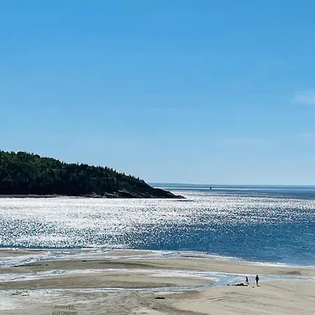 Pavillon De Jardin Neuf Baie De Tadoussac Clim Parking - 2 Chambres-2