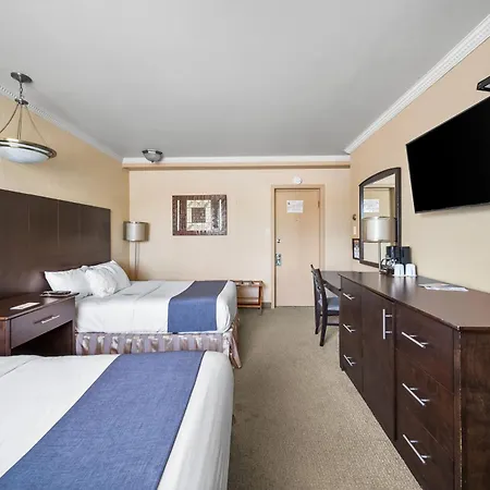 Hotel-Motel Coconut-2