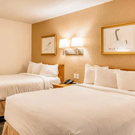 Motel Mistral-2