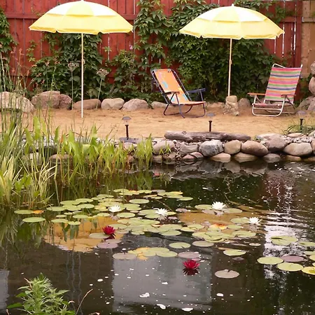 L'Oasis Du Pirate-2