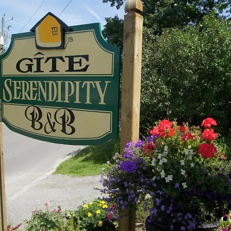 Serendipity B&B-3