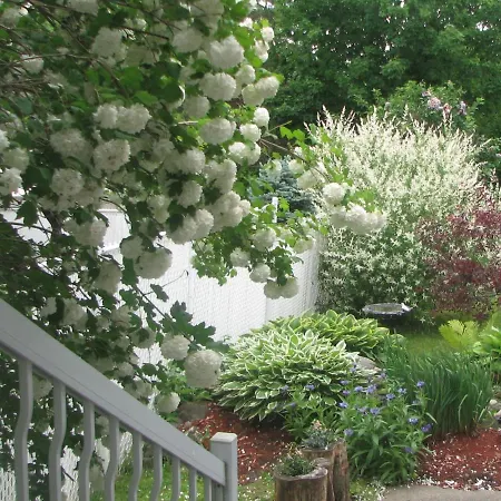 Magnolia B&B-2