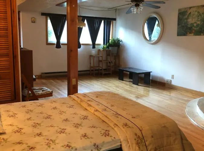 Open Concept Apartment Montréal que aceita animais de estimação