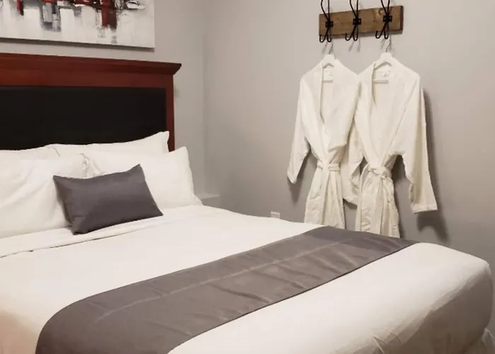 Beautiful 1 Bdr Apt #G Hull/Ott By Amazing Property Rentals Gatineau acceptant les animaux