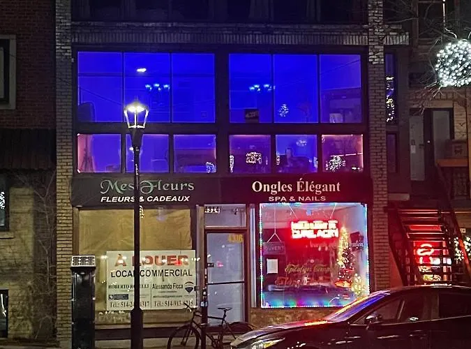 M M A Tourista Villa Montreal