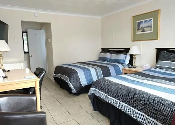 Motel Montcalm Gatineau acceptant les animaux