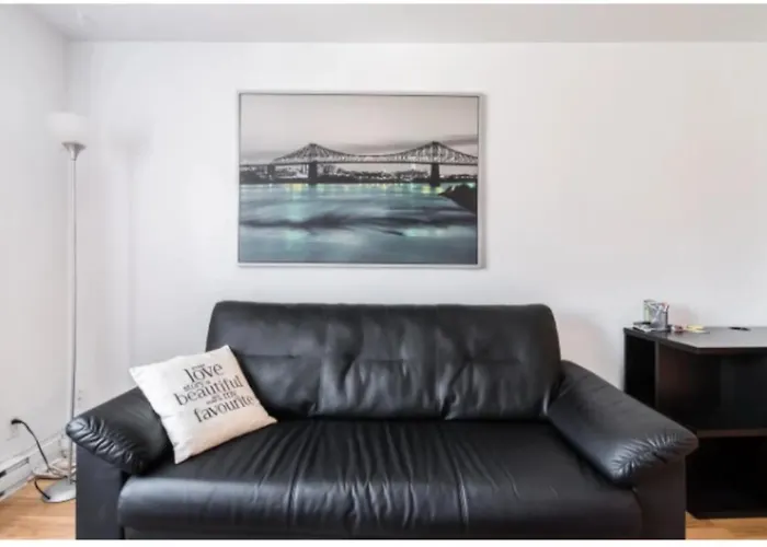 Spacious Apartment Near Olympic Stadium, Free Street Parking Montreal admite animales