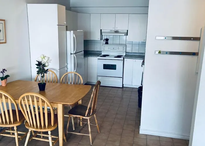 Appartement Bright And Modest 1 Bedr & Sofabed In Mile-End à Montréal acceptant les animaux