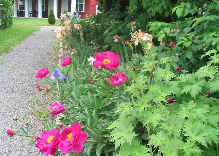 Hotel Aux petits oiseaux à Baie-Saint-Paul