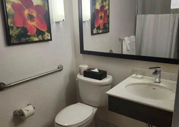 Hilton Garden Inn Montreal Airport Dorval